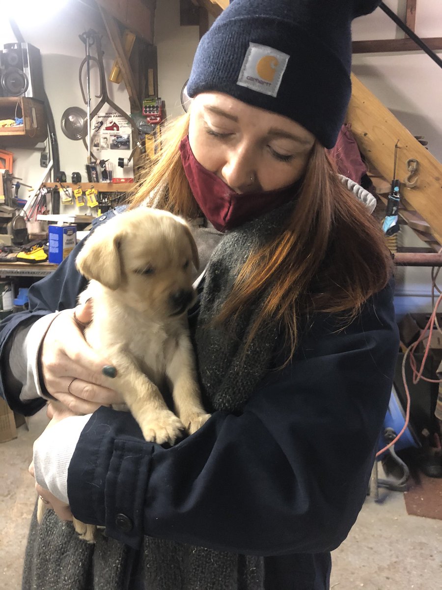 Em Schultz tweet media