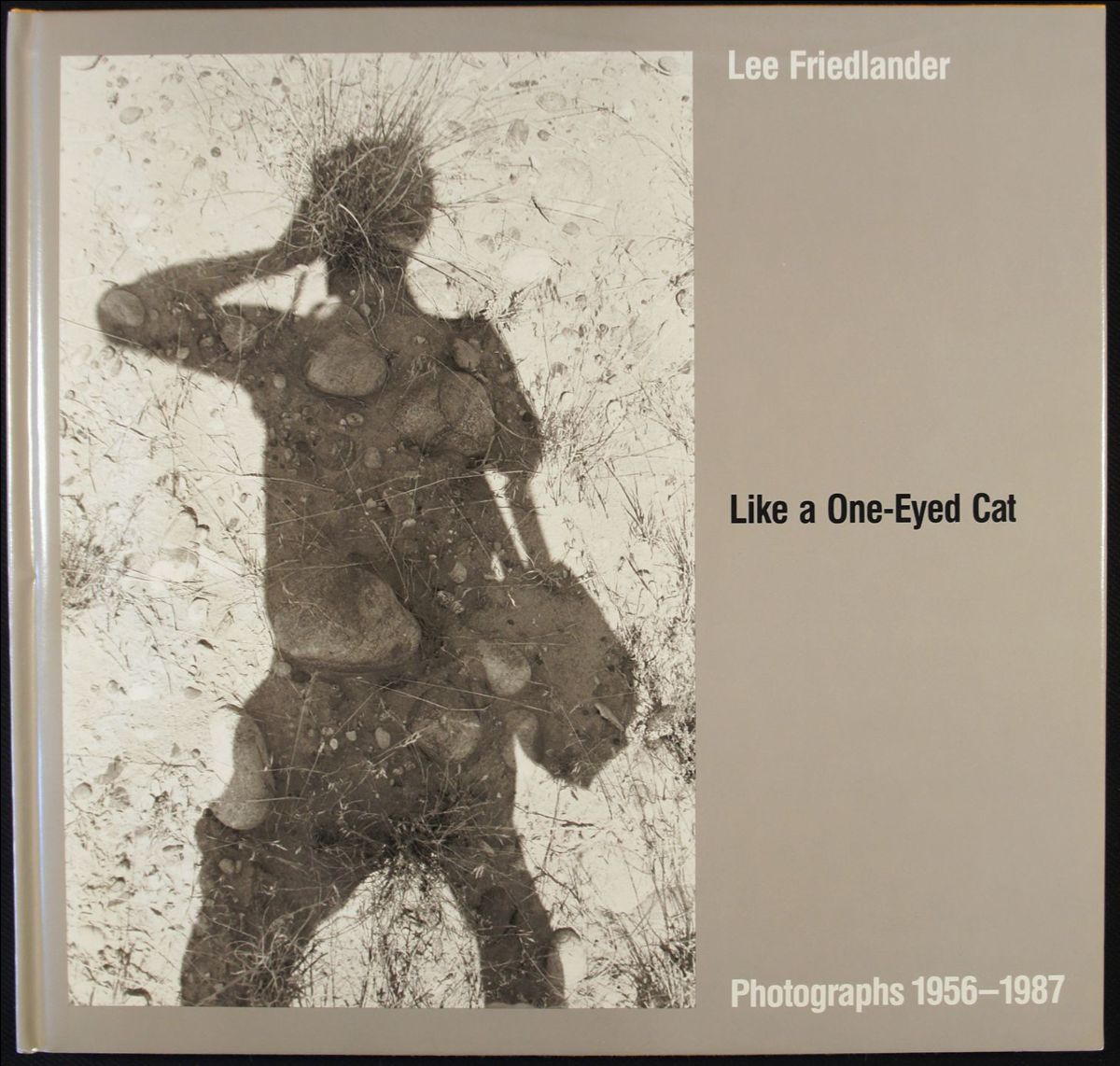 PHOTOBOOKDAILY. Lee Friedlander (signed), Rebecca Webb Norris (signed), Amani Willett (signed), Lee Friedlander (rare) - mailchi.mp/photoeye/photo…