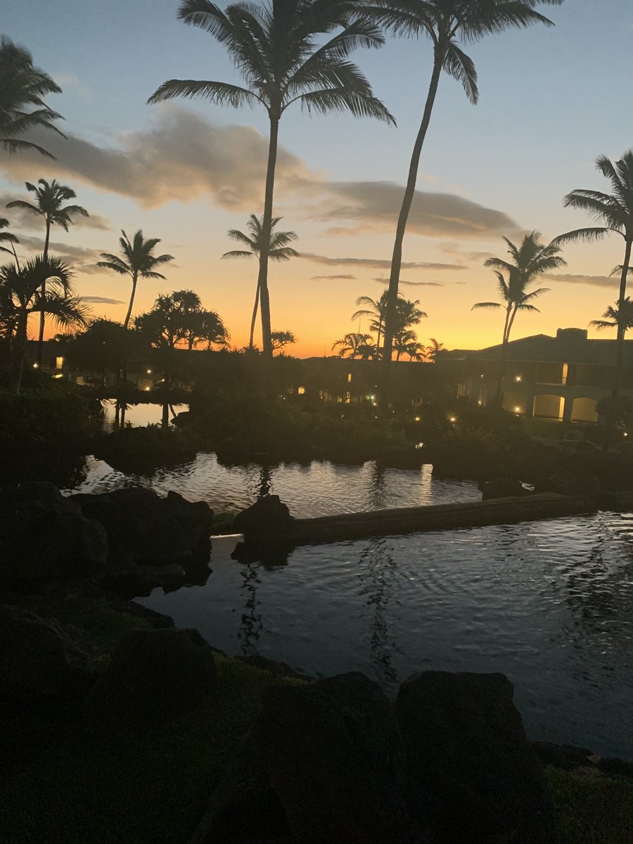 Jamie Shigeta tweet media