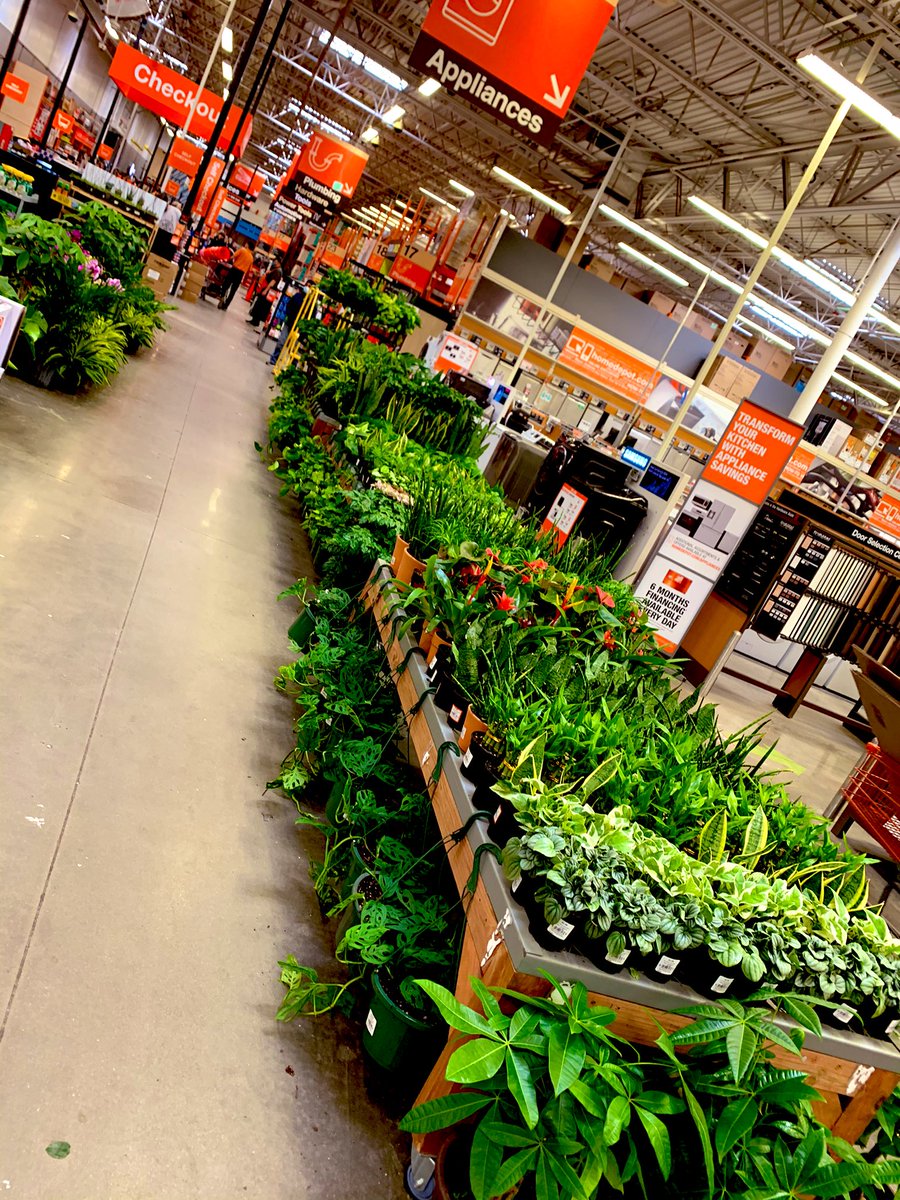 Very proud of our tropical displays resulting in huge sales!!