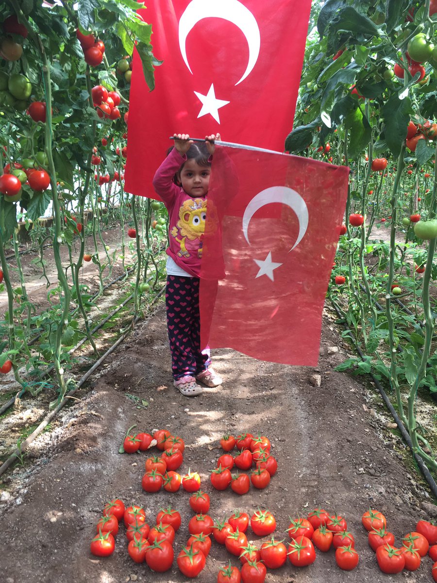 İnsanlığın sağlığı ülkemizin ekonomisi için çiftçi üretiyor.Masraf çok ihracat yok 
#sebzedekotamıolur
#fahrettinkoca <a href="/MevlutCavusoglu/">Mevlüt Çavuşoğlu</a>
<a href="/bekirpakdemirli/">Dr. Bekir Pakdemirli</a>
<a href="/tcbestepe/">T.C. Cumhurbaşkanlığı</a>
<a href="/irfandonat/">Tarım Editörü</a>
<a href="/pekcan/">Ruhsar Pekcan</a> 
@FOXhaber 
<a href="/tgrthabertv/">TGRT HABER</a> <a href="/fahrettinaltun/">Fahrettin Altun</a> 
<a href="/ticaret/">T.C. Ticaret Bakanlığı</a>