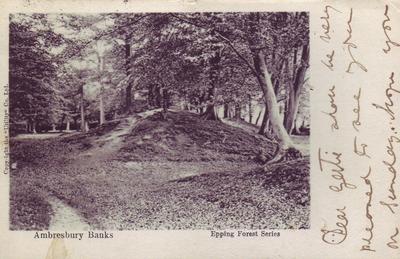 CoLEppingForest's tweet photo. #HillfortsWednesday In 1908, a postcard of Epping Forest's  #AmbresburyBanks  with an important message was sent to Mrs Slade of Brentford: 
'Dear Gertie, shall be very pleased to see you on Sunday. I hope you are all well'. We are as usual. Love to all.' 
Edwardian excitement. https://t.co/tkkzmrNOQX