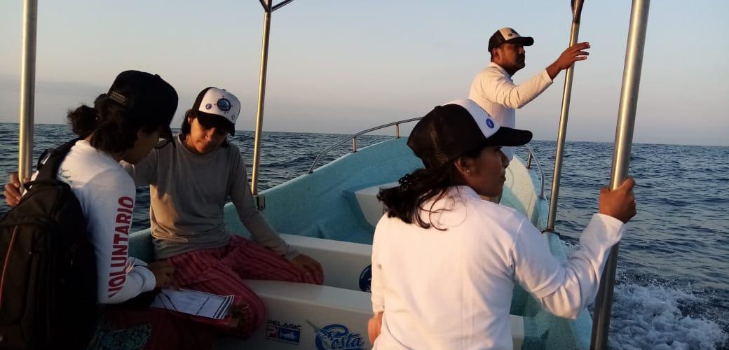 CruzAntonioGil's tweet photo. En busca de los Gigantes Marinos #CapitalNatural #YubartaEcoturismo #TerraSC https://t.co/MlXWT5XUa8