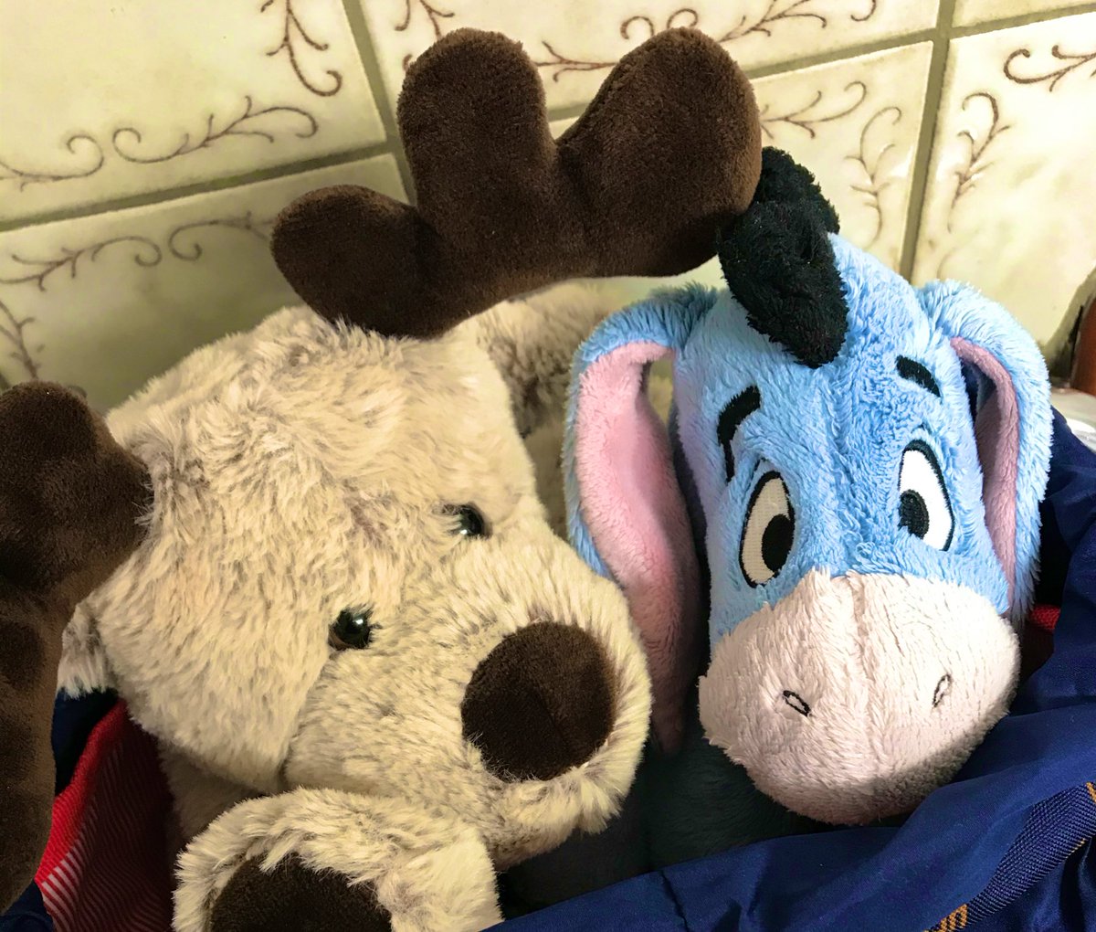 Keine Sorge, wir sind ein Haushalt