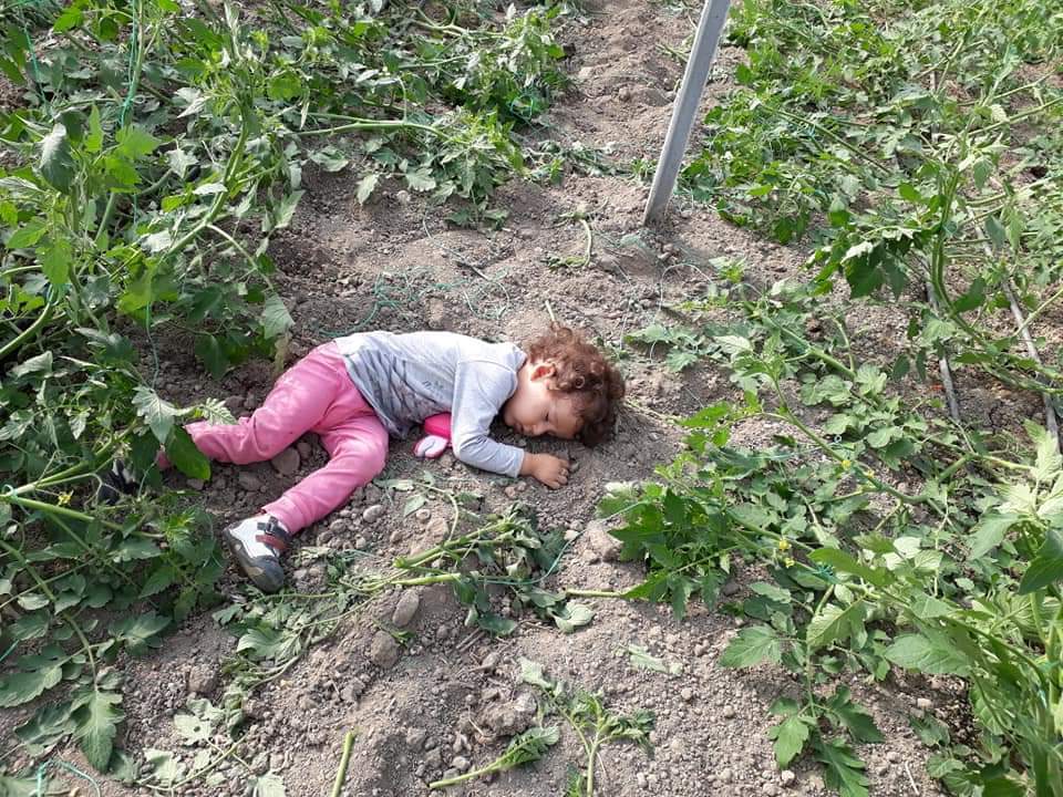 İnsanlığın sağlığı ülkemizin ekonomisi için çiftçi üretiyor.Masraf çok ihracat yok 
#sebzedekotamıolur
#fahrettinkoca <a href="/MevlutCavusoglu/">Mevlüt Çavuşoğlu</a>
<a href="/bekirpakdemirli/">Dr. Bekir Pakdemirli</a>
<a href="/tcbestepe/">T.C. Cumhurbaşkanlığı</a>
<a href="/irfandonat/">Tarım Editörü</a>
<a href="/pekcan/">Ruhsar Pekcan</a> 
@FOXhaber 
<a href="/tgrthabertv/">TGRT HABER</a> <a href="/fahrettinaltun/">Fahrettin Altun</a> 
<a href="/ticaret/">T.C. Ticaret Bakanlığı</a>