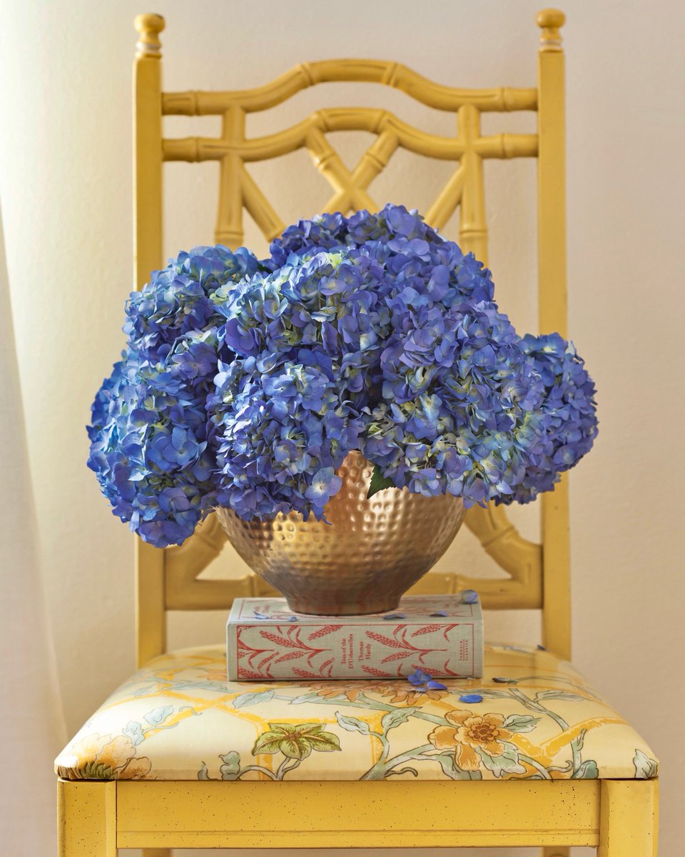 SouthernLadyMag's tweet image. “Let us be grateful to the people who make us happy; they are the charming gardeners who make our souls blossom.” —Marcel Proust  

#southernladymag #inspiringwords #pantone2021 #flowerinspo #prettyflowers #hydrangeas #floralarrangements #optimism #floraldesign