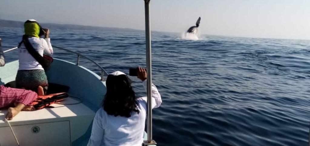 CruzAntonioGil's tweet photo. En busca de los Gigantes Marinos #CapitalNatural #YubartaEcoturismo #TerraSC https://t.co/MlXWT5XUa8