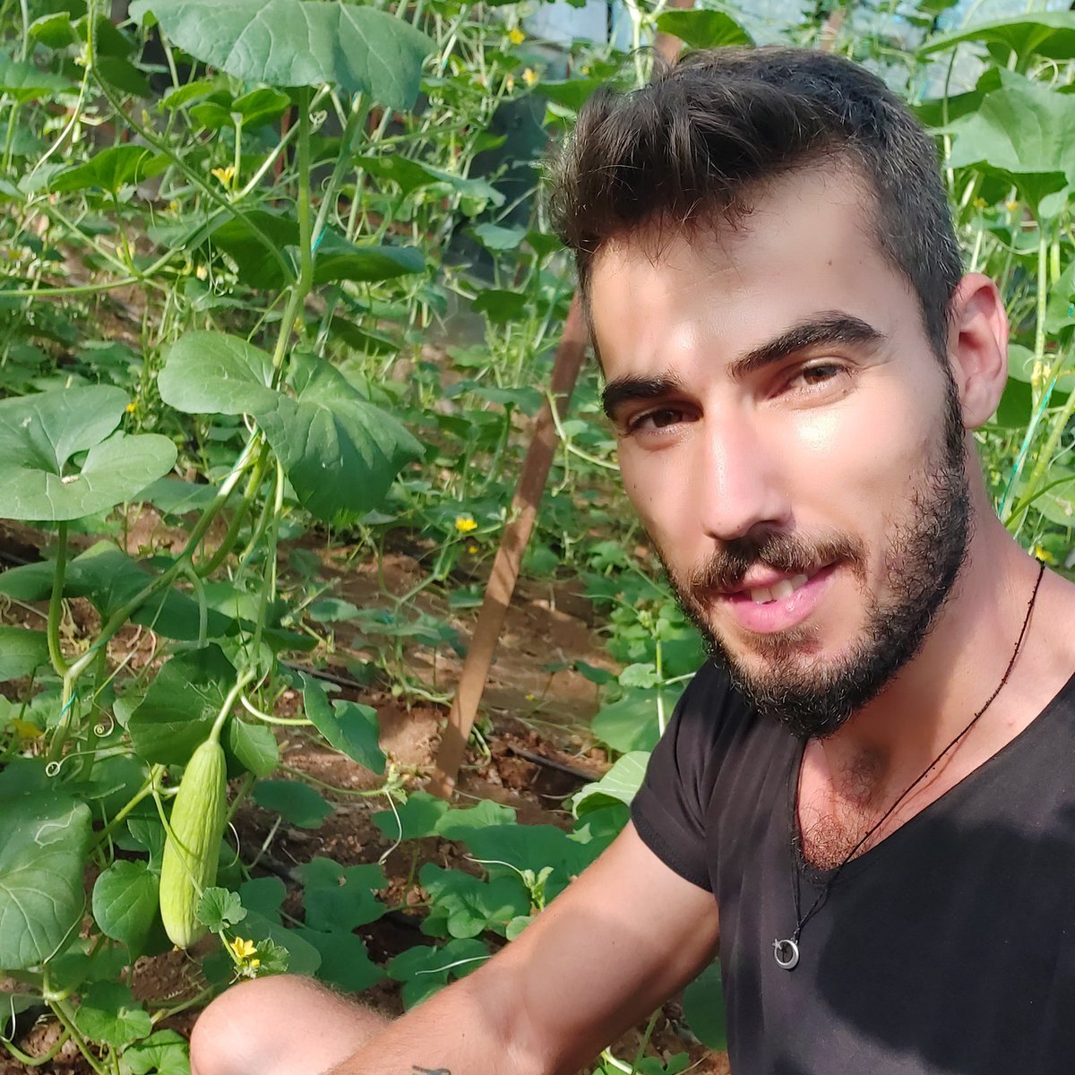 Rmzndemir_'s tweet photo. Çiftçi gülerse,  toplum ferahlar .#sebzedekotamiolur https://t.co/3jGJPYL0ki
