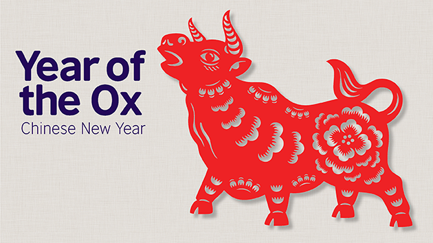 Schools_British's tweet photo. According to the Chinese Lunar Calendar, we enter the #YearOfTheOx on 12 February🐂 These free resources contain activities to help pupils learn more about this important spring festival and explore Chinese culture. Download here➡️ https://t.co/z717PJiyZs #RemoteLearning https://t.co/gobkHrjeOf