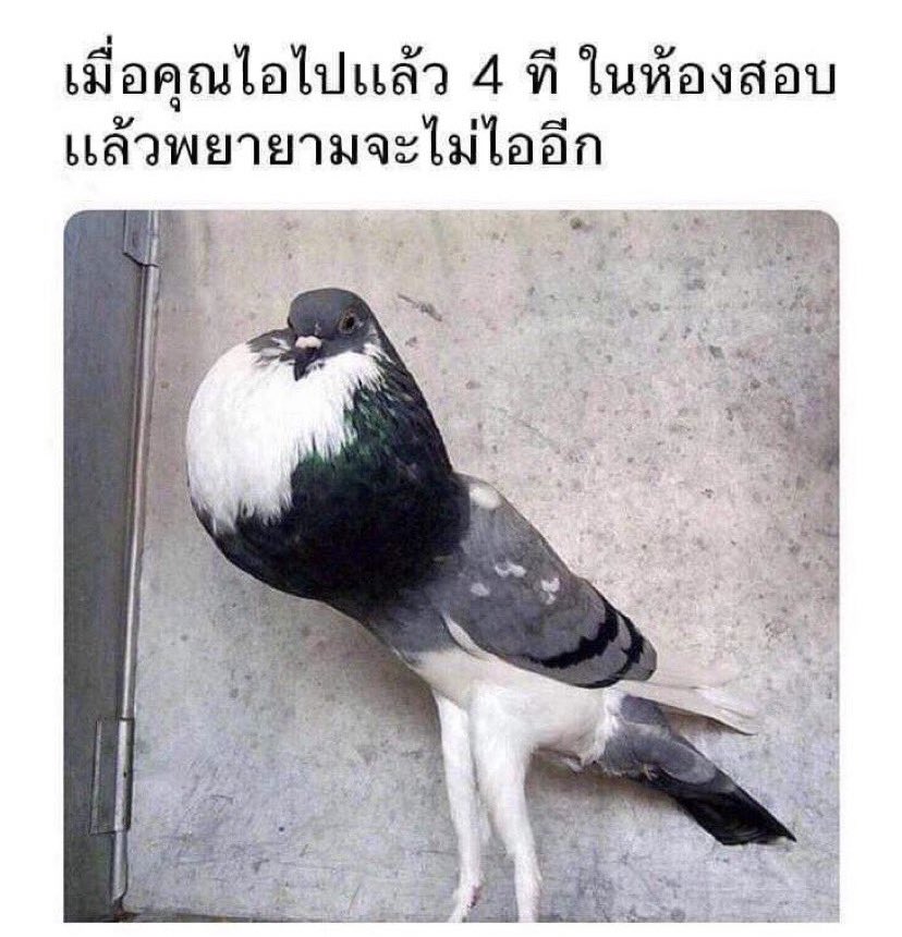 stylepearypiee's tweet photo. ก็ยังคงเป็นมีมที่ฮาที่สุด655555555555555 https://t.co/gUr5hxWa7s