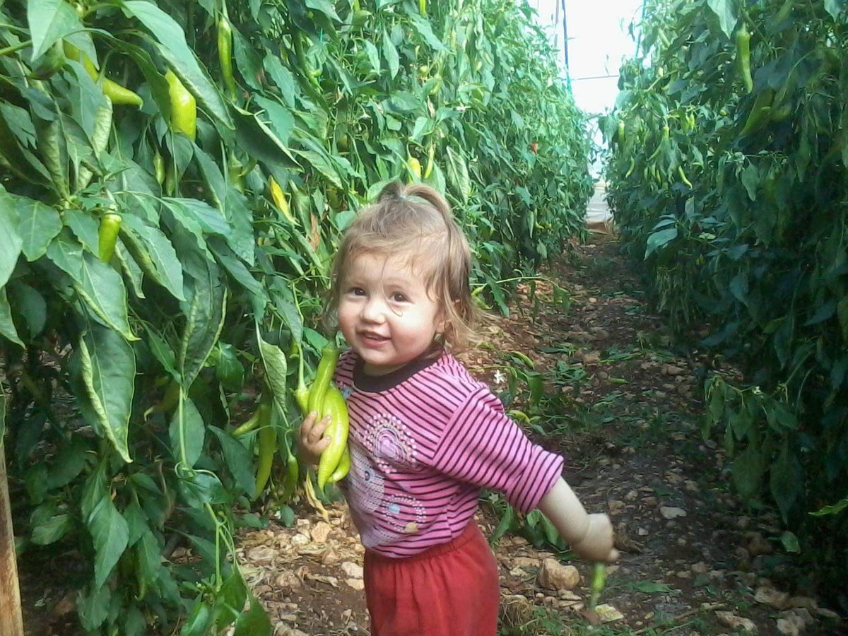 İnsanlığın sağlığı ülkemizin ekonomisi için çiftçi üretiyor.Masraf çok ihracat yok 
#sebzedekotamıolur
#fahrettinkoca <a href="/MevlutCavusoglu/">Mevlüt Çavuşoğlu</a>
<a href="/bekirpakdemirli/">Dr. Bekir Pakdemirli</a>
<a href="/tcbestepe/">T.C. Cumhurbaşkanlığı</a>
<a href="/irfandonat/">Tarım Editörü</a>
<a href="/pekcan/">Ruhsar Pekcan</a> 
@FOXhaber 
<a href="/tgrthabertv/">TGRT HABER</a> <a href="/fahrettinaltun/">Fahrettin Altun</a> 
<a href="/ticaret/">T.C. Ticaret Bakanlığı</a>