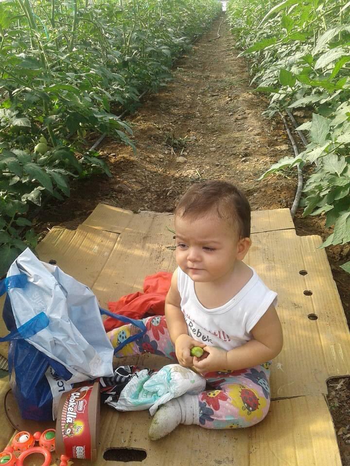 İnsanlığın sağlığı ülkemizin ekonomisi için çiftçi üretiyor.Masraf çok ihracat yok 
#sebzedekotamıolur
#fahrettinkoca <a href="/MevlutCavusoglu/">Mevlüt Çavuşoğlu</a>
<a href="/bekirpakdemirli/">Dr. Bekir Pakdemirli</a>
<a href="/tcbestepe/">T.C. Cumhurbaşkanlığı</a>
<a href="/irfandonat/">Tarım Editörü</a>
<a href="/pekcan/">Ruhsar Pekcan</a> 
@FOXhaber 
<a href="/tgrthabertv/">TGRT HABER</a> <a href="/fahrettinaltun/">Fahrettin Altun</a> 
<a href="/ticaret/">T.C. Ticaret Bakanlığı</a>