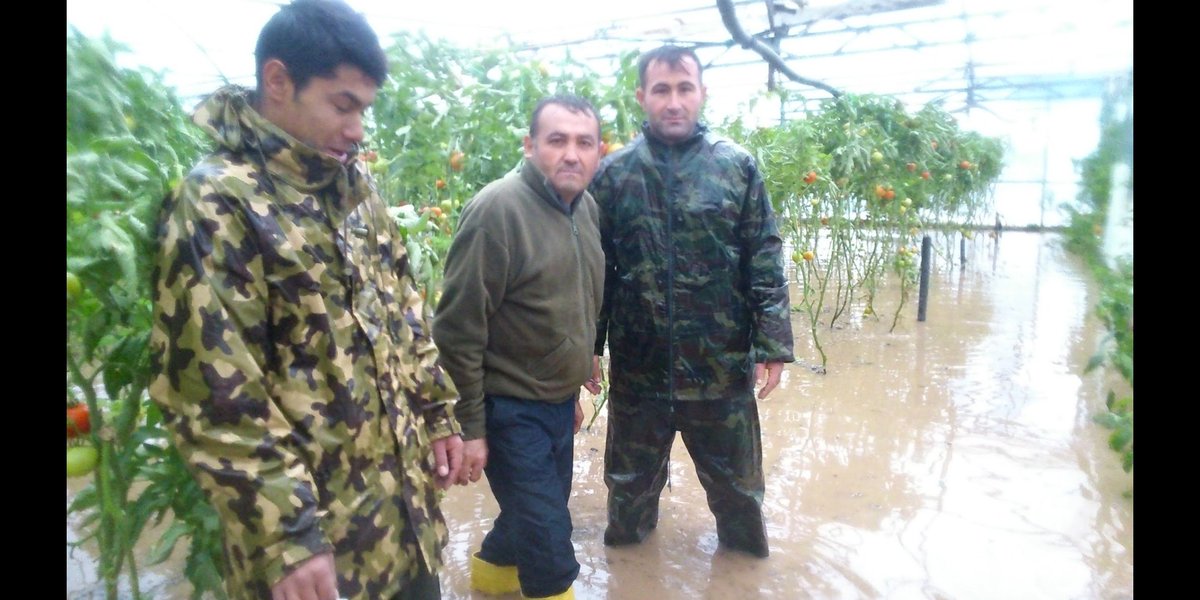 İnsanlığın sağlığı ülkemizin ekonomisi için çiftçi üretiyor.Masraf çok ihracat yok zor bu işler zoor 
#sebzedekotamıolur
#fahrettinkoca <a href="/MevlutCavusoglu/">Mevlüt Çavuşoğlu</a>
<a href="/bekirpakdemirli/">Dr. Bekir Pakdemirli</a>
<a href="/tcbestepe/">T.C. Cumhurbaşkanlığı</a>
<a href="/irfandonat/">Tarım Editörü</a>
<a href="/pekcan/">Ruhsar Pekcan</a> 
@FOXhaber 
<a href="/tgrthabertv/">TGRT HABER</a> <a href="/fahrettinaltun/">Fahrettin Altun</a> 
ticaret pazarı