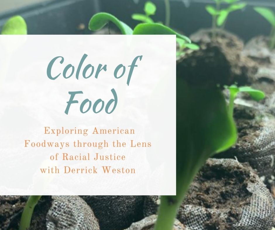 Getting ready for our Color of Food Discussions, starting on January 19!
