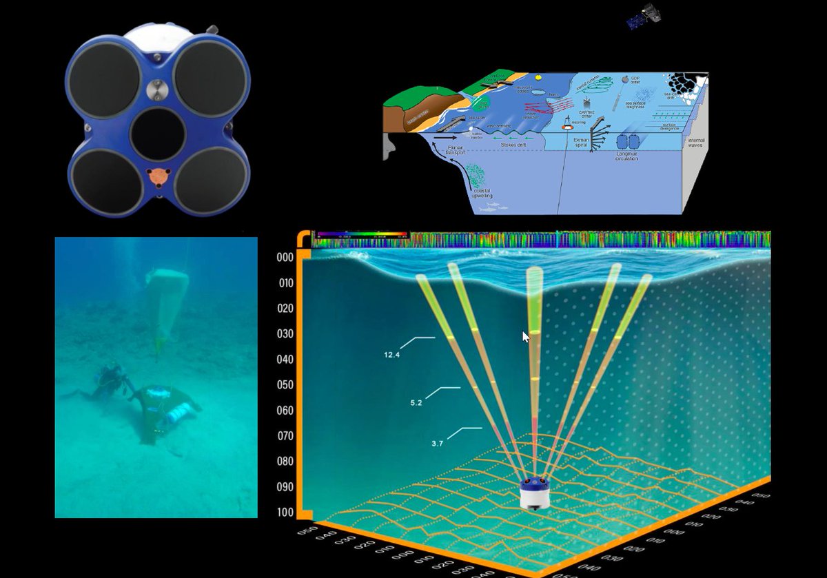 Mohamed Adel tweet media