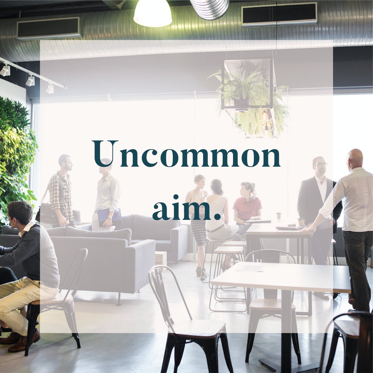 Our uncommon aim: More discovery. More people. More social. Less media.