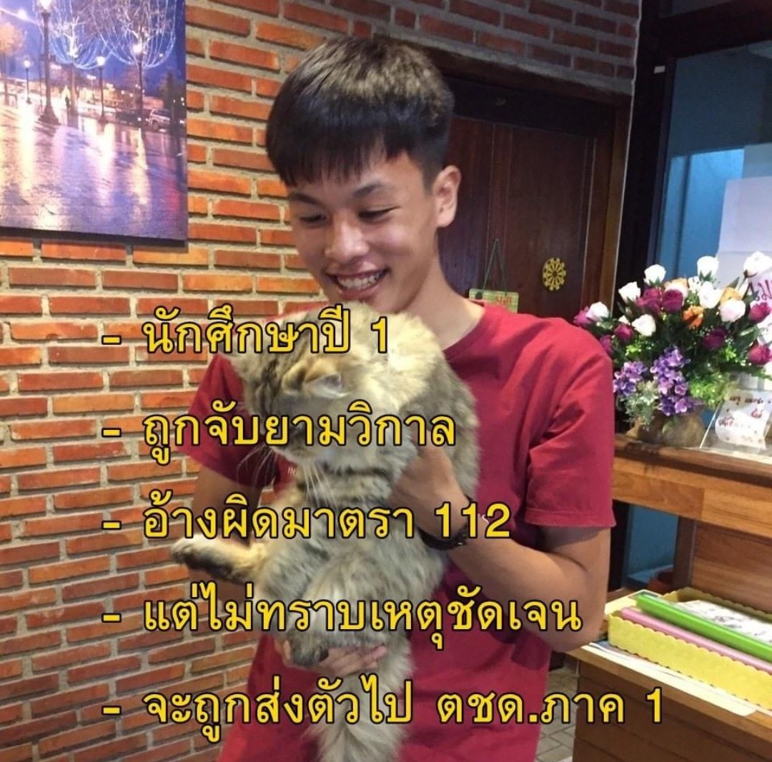 เ ป้ ว🌻ʕ•ᴥ•ʔ lll🍒 ดูดคลิปใส่cr.ด้วย tweet media