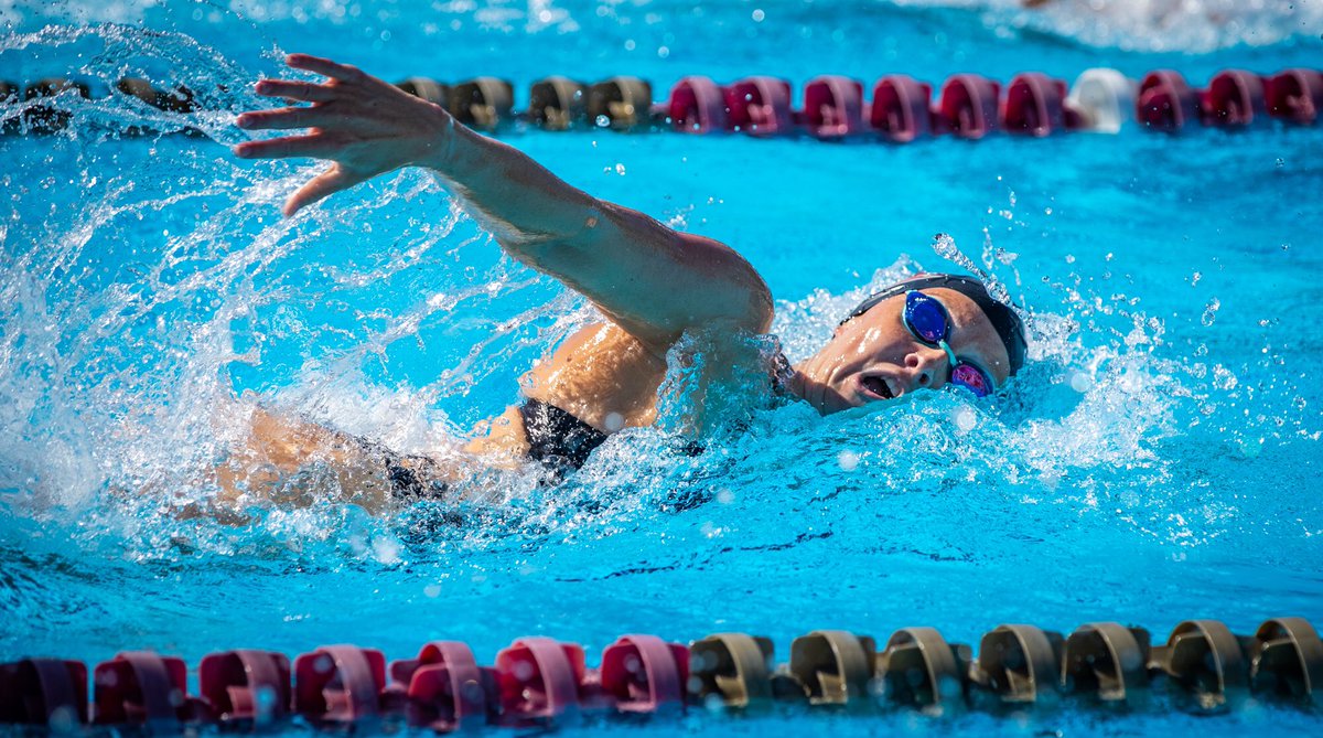 FSU_Swimming's tweet photo. Our next senior we’d like to recognize is Rebecca Moynihan! 

🏡 Palmerston North 🇳🇿 
🍢2020-21 Team Captain
🍢 Part of FSU’s relays that rank in the top 16 nationally
🍢Scored points ACCs in the 50 free
🍢Competed at the 2018 FINA World SC Championships https://t.co/Yk8nuWRUBA