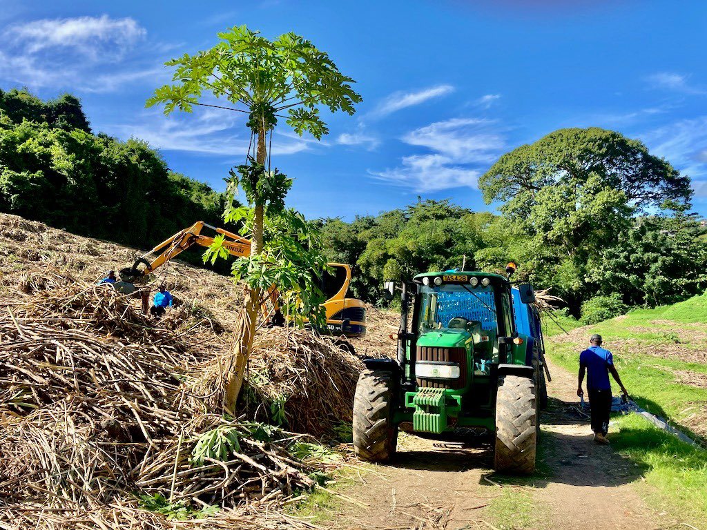 Renegade Rum Distillery tweet media