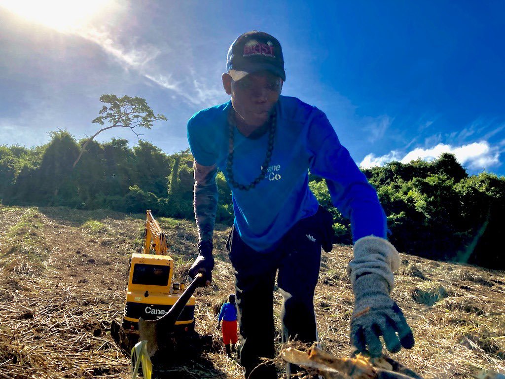 Renegade Rum Distillery tweet media