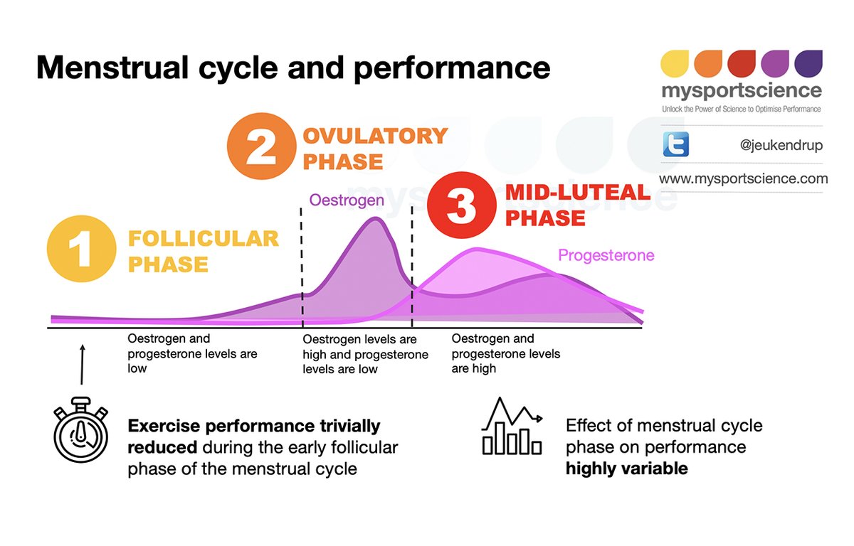 Asker Jeukendrup (@jeukendrup) on Twitter photo Menstrual cycle and performance bit.ly/3fjkG0t by <a href="/ElliottSale/">Kirsty Sale</a> ! Link to the paper in the blog. Menstrual cycle and performance bit.ly/3fjkG0t by <a href="/ElliottSale/">Kirsty Sale</a> ! Link to the paper in the blog.