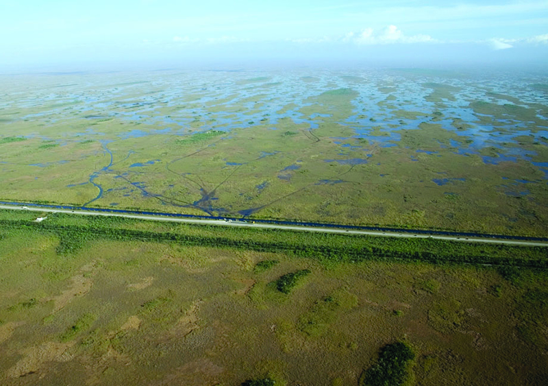 2/ The 264-mile highway was completed in 1928 to connect Miami to Tampa. The major problem is that the highway - along with lots of other infra/hydrologic changes - dramatically reduced the natural southward flow of water into Everglades.