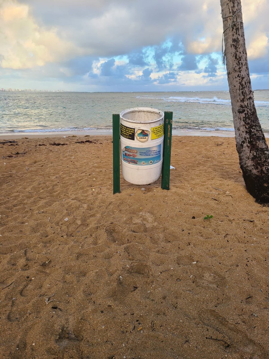 DRNAGPR's tweet photo. Personal de la Región San Juan del @DRNAGPR manteniendo limpias las áreas de playa de Piñones. Ayúdanos a conservarlas llevándote la basura. Recuerda que es responsabilidad de todos conservar nuestro ambiente. 🌎 https://t.co/YypmxzOyTP