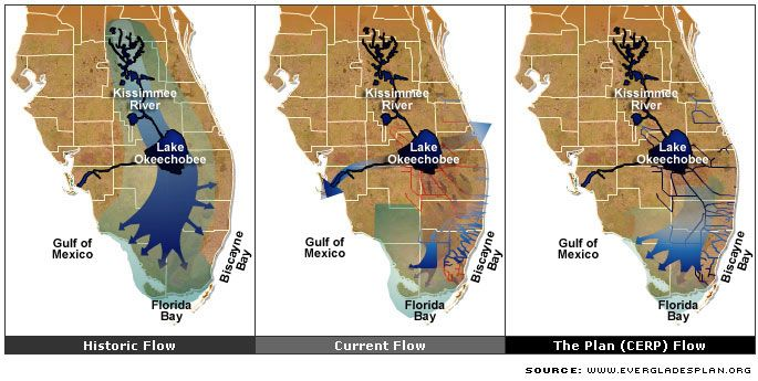 3/ The map shows a macro view. On a more granular level, the rendering shows how the small culverts (concrete tubes) under the Tamiami are totally insufficient to allow sufficient southward flow of fresh water into the Everglades.