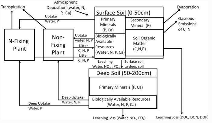 Biogeochemistry (@jbiogeochem) on Twitter photo Really cool new paper by Peter Vitousek & Jesse Bateman <a href="/Stanford/">Stanford University</a> and Oliver Chadwick <a href="/UofCalifornia/">University of California</a> on running a “toy” model of biogeochemical dynamics on climate gradients! Read via: rdcu.be/cdvKQ #openaccess #nitrogenfixation #nitrogen #phosphorus Really cool new paper by Peter Vitousek & Jesse Bateman <a href="/Stanford/">Stanford University</a> and Oliver Chadwick <a href="/UofCalifornia/">University of California</a> on running a “toy” model of biogeochemical dynamics on climate gradients! Read via: rdcu.be/cdvKQ #openaccess #nitrogenfixation #nitrogen #phosphorus