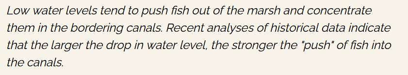 4/ Effectively managing the area's hydrology matters a great deal for the health of the ecosystem. One quick example of how changes in the water level can affect how species behave.