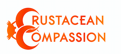 crab_welfare's tweet photo. Three years ago, 55 animal welfare scientists, veterinary professionals and legal experts called on the government to protect crabs &amp; lobsters in animal welfare legislation. We're still waiting and these animals are still suffering. The time to act is NOW. https://t.co/nwGLZJw3Hm https://t.co/0Dx6ScnLle