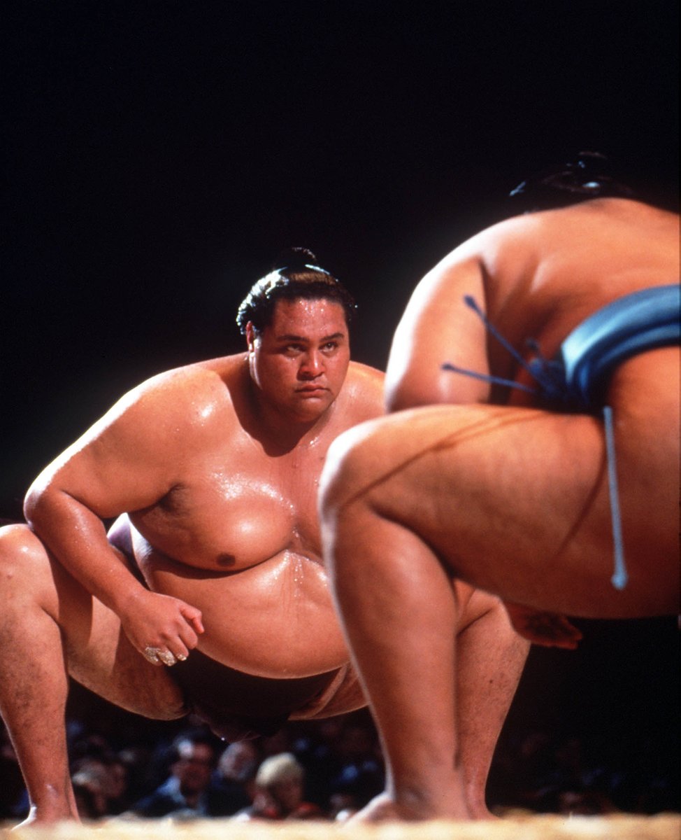 WorldSportsPix's tweet image. The 2nd Edition of World Sport Photography Awards celebrates 25 years of amazing sports photography. Together with our partners @Colorsport1 we sharing some of the iconic images of the period and for starters here’s 1995.  #wspa2021 (3 of 3)