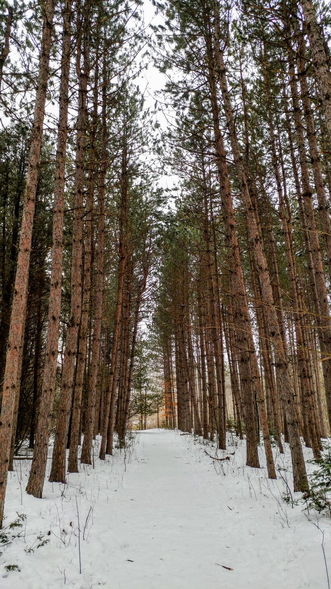 EuphoriaStorm's tweet image. There is still beauty and peace in this world. You just have to find it. #worldoff #natureon #myphotography