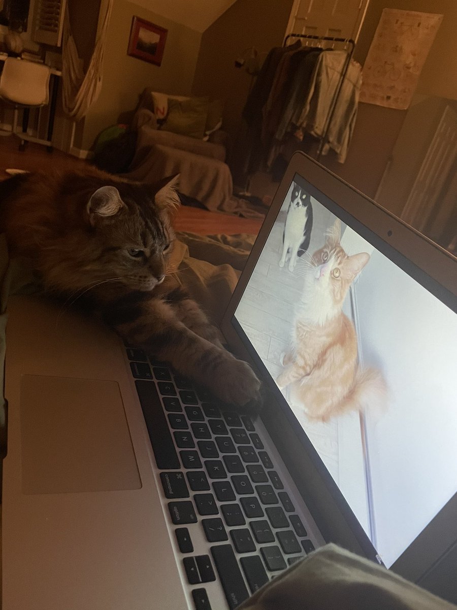 katmurph12's tweet photo. @carolimejohnson @ca3mille https://t.co/OmZ6Pgxf11