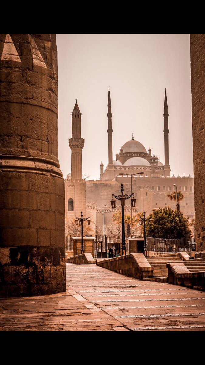 The great mosque of Mohamad Ali Pasha