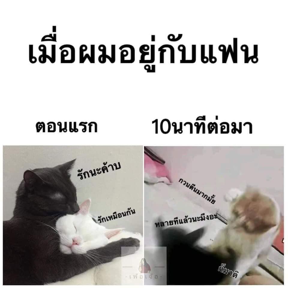 macro tweet media