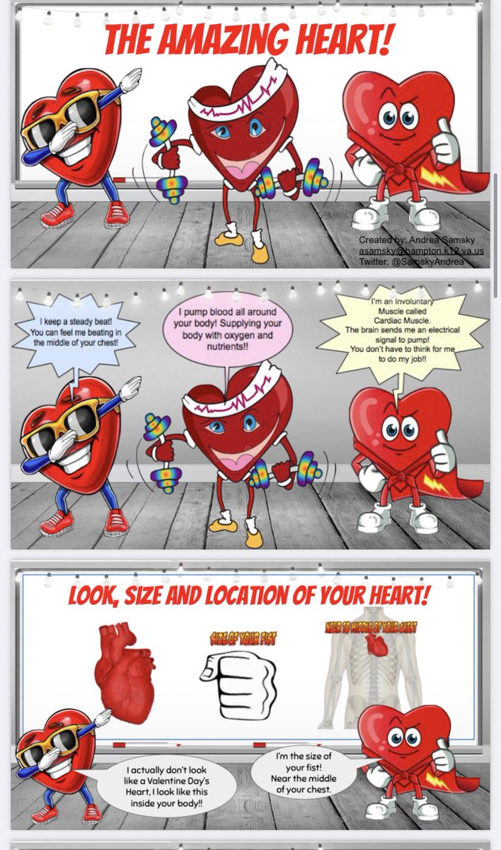 I have had a great week teaching my #physed kiddos about the heart.  Thanks to @SamskyAndrea for this amazing resource.  #iahperd