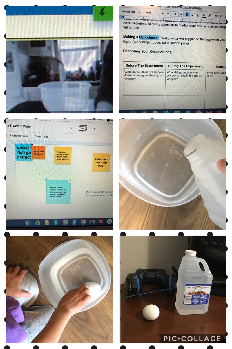 yelly100's tweet photo. Continuing our inquiry into the ocean acidification and the effects of human interactions with our environment! So proud of my students who conducted their own experiments at home! @tdeselementary https://t.co/ZACKUGWgc9