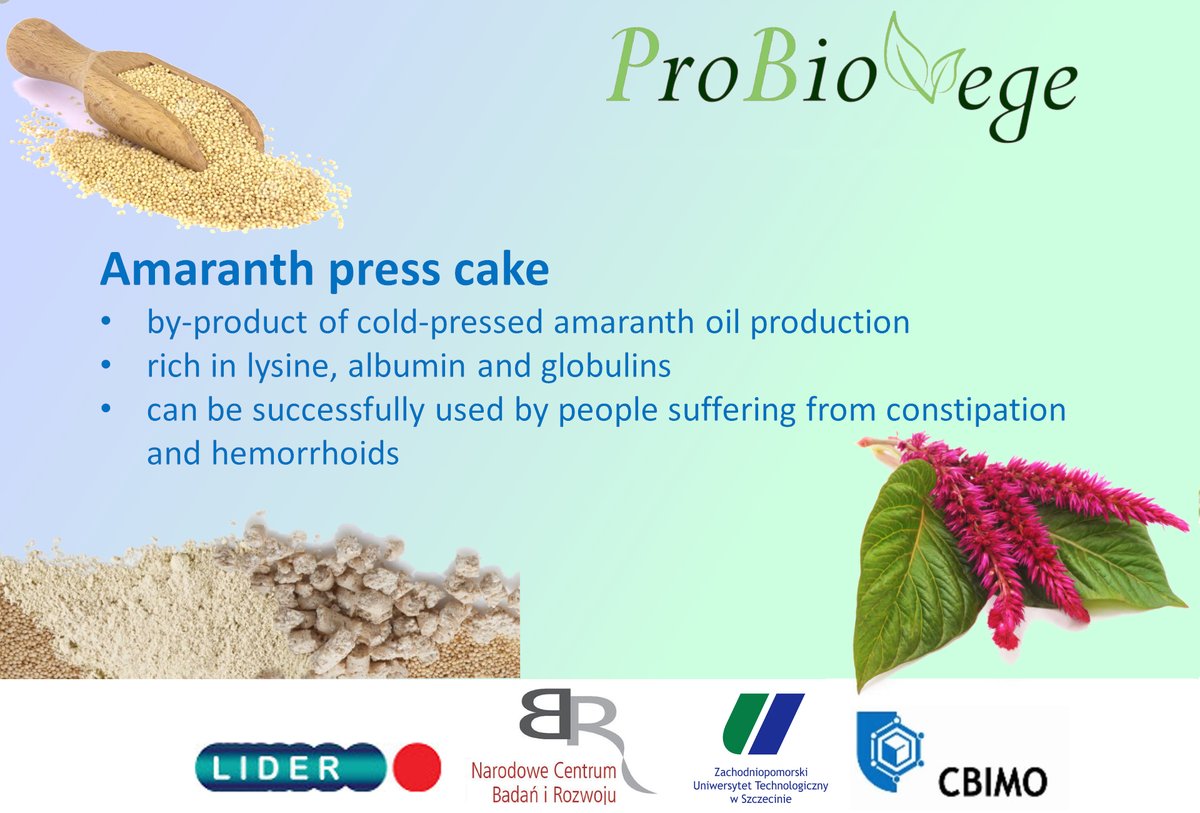 ProBioVege's tweet photo. Amaranth :) #Szczecin #cbimo #science #vegan #lider #ncbr #amaranth https://t.co/5xOyWvZRM7