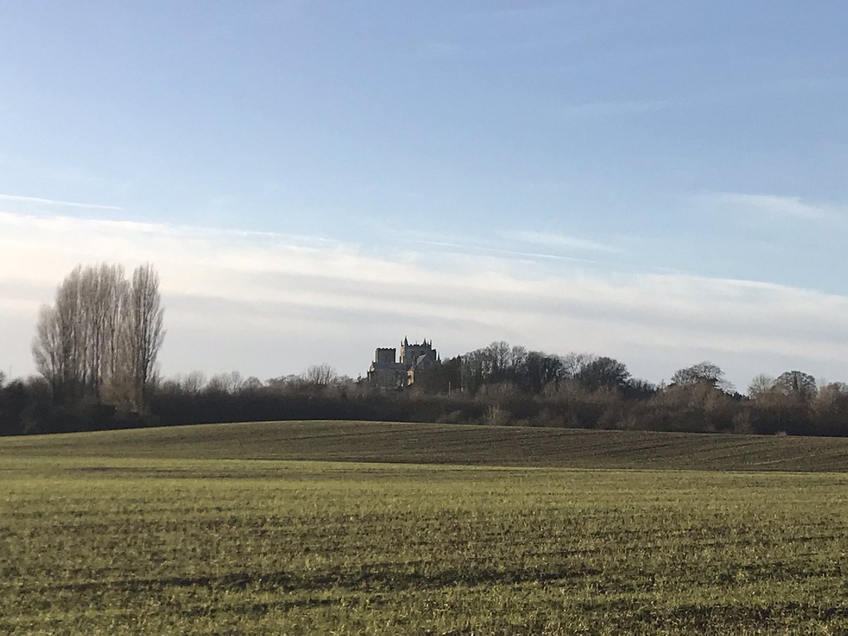 lakey_lola's tweet photo. Hey everypawdy, how are you all? I forgot to tweet these yesterday....I went for a big walk with my furpal Squidge, she’s woofly ❤️ #bestpals #funwithmypals #lakelandterrier #happydays https://t.co/THFAeW65kA