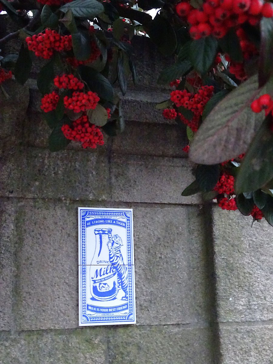 curiouscat1blog's tweet photo. #StreetArt #Nantes #PetitBonheurdujour Sur la trace des gros #félins de #MilkLady, la #sérendipité aide, parfois, les petits #chats...😺 https://t.co/uTzm2UjTwR
