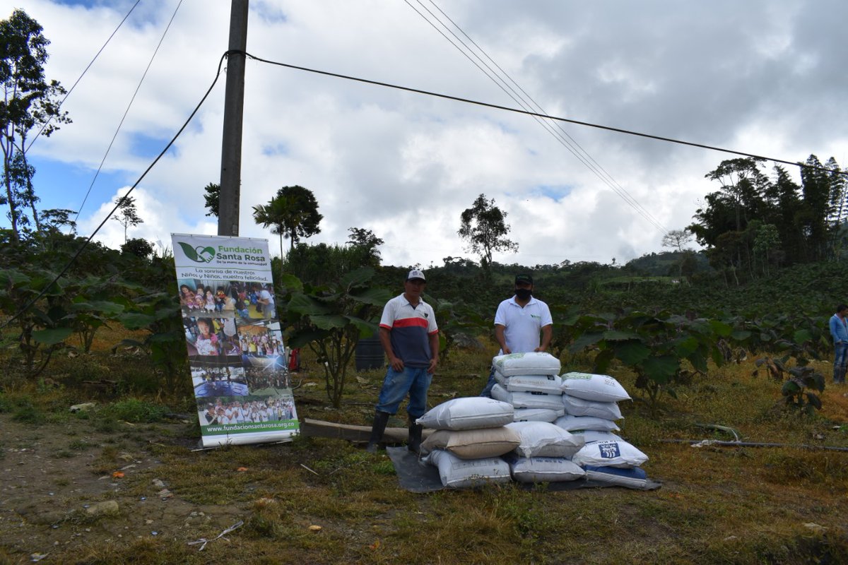 Fundación Santa Rosa realizó la donación de abonos para el cultivo de 1.800 plantas de lulo a la familia del señor Miguel Antonio Romero Castiblanco, con el fin de fortalecer su proyecto productivo, ubicado en la finca Los Pantanos, en el sector Santa Bárbara, en Maripí.