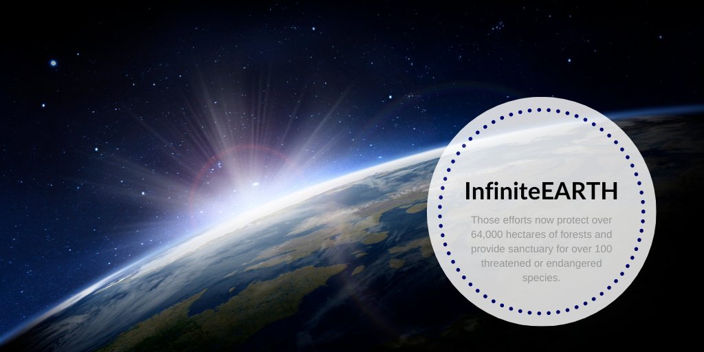 Veridium Labs is led by the founders of InfiniteEARTH, a leading global carbon credit producer. At InfiniteEARTH, our team created both the first REDD+ carbon accounting methodology, now embodied in the UN Paris Agreement, and the first validated REDD+ project to use it.