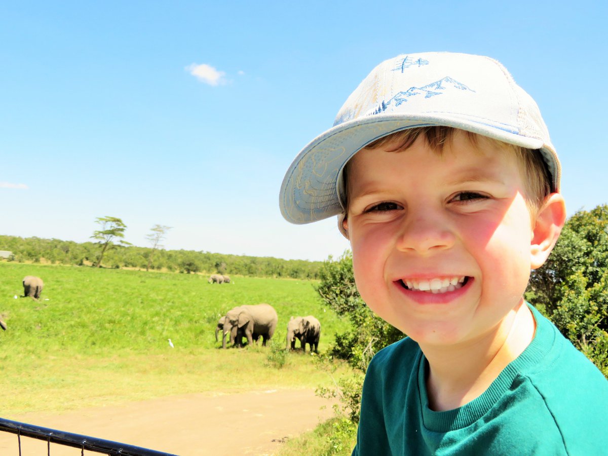 @ColintonNursery @ColintonPrimary @UpstartScot @ELCScotGov @EYTagteam @earlyyearsscot @LtLScotland @LoveOutdoorLea1 Hello Colinton Primary and Nursery! Elephants are very very big when they get close!