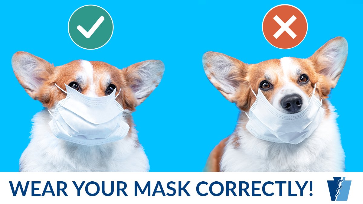 wear your mask correctly