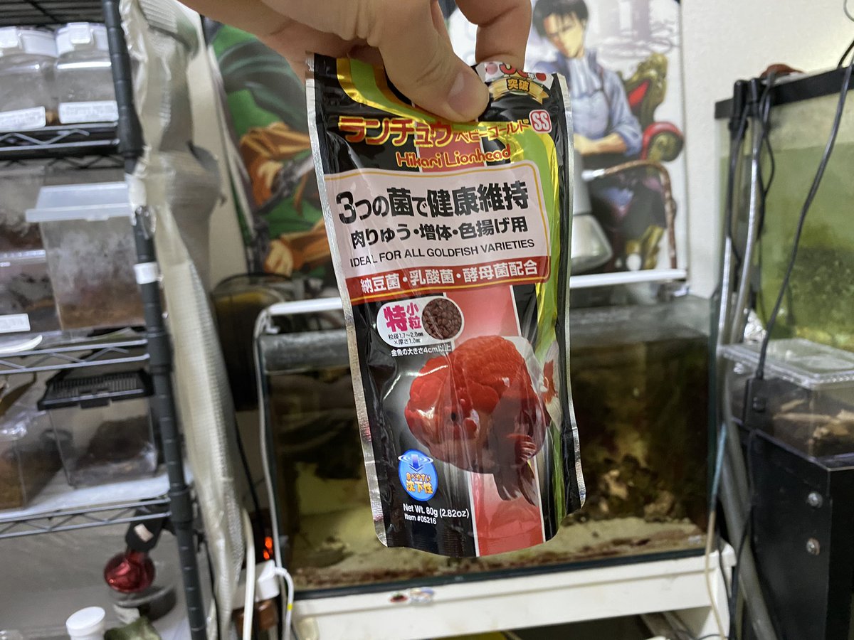 中2病の生き物好き 駒 うちのザリガニはこれで育ててる 基本的には金魚の餌でなんとかなる 高タンパクだし色揚げ がどうたらいうし多分ザリガニにも多少は効果あるっしょ 下手すればザリガニの餌より全然こっちの方がいいね 中2病の生き物好き 駒 うちのザリガニはこれで育ててる 基本的には金魚の餌でなんとかなる 高タンパクだし色揚げ がどうたらいうし多分ザリガニにも多少は効果あるっしょ 下手すればザリガニの餌より全然こっちの方がいいね