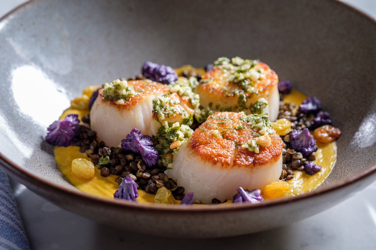 StellaNewHope's tweet photo. There's a right way and a wrong way to do everything. For us, we prefer our scallops #PanRoasted to perfection. These beauties are served with curried cauliflower, beluga lentils, cilantro-macadamia nut pesto, and pickled golden raisins. YUM! #StellaNewHope #SeaScallops https://t.co/8wEmkCai4K