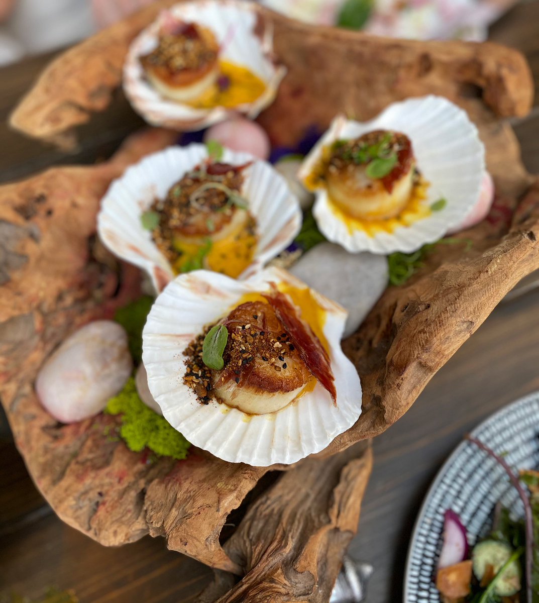 Sweet, tender scallops, &amp; savory, luxurious <a href="/cincojotas/">Cinco Jotas</a> jamón ibérico... A match made in heaven — in your mouth 🐚 

BeatnikOnTheRiver.com
