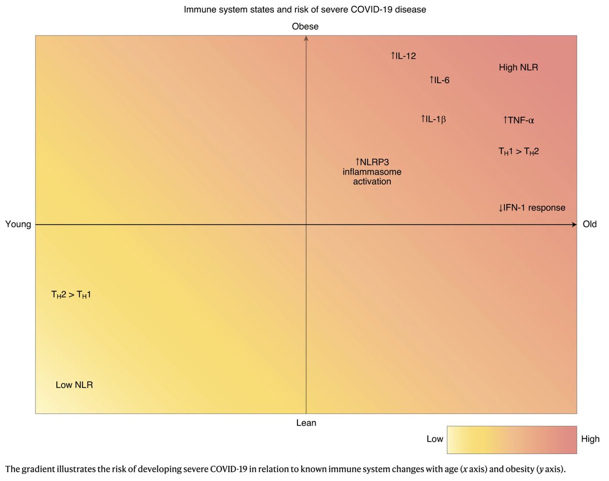 One virus - Many different disease manifestations - Immune determinants of severe #COVID19, also #longCOVID and #MISC nature.com/articles/s4159…