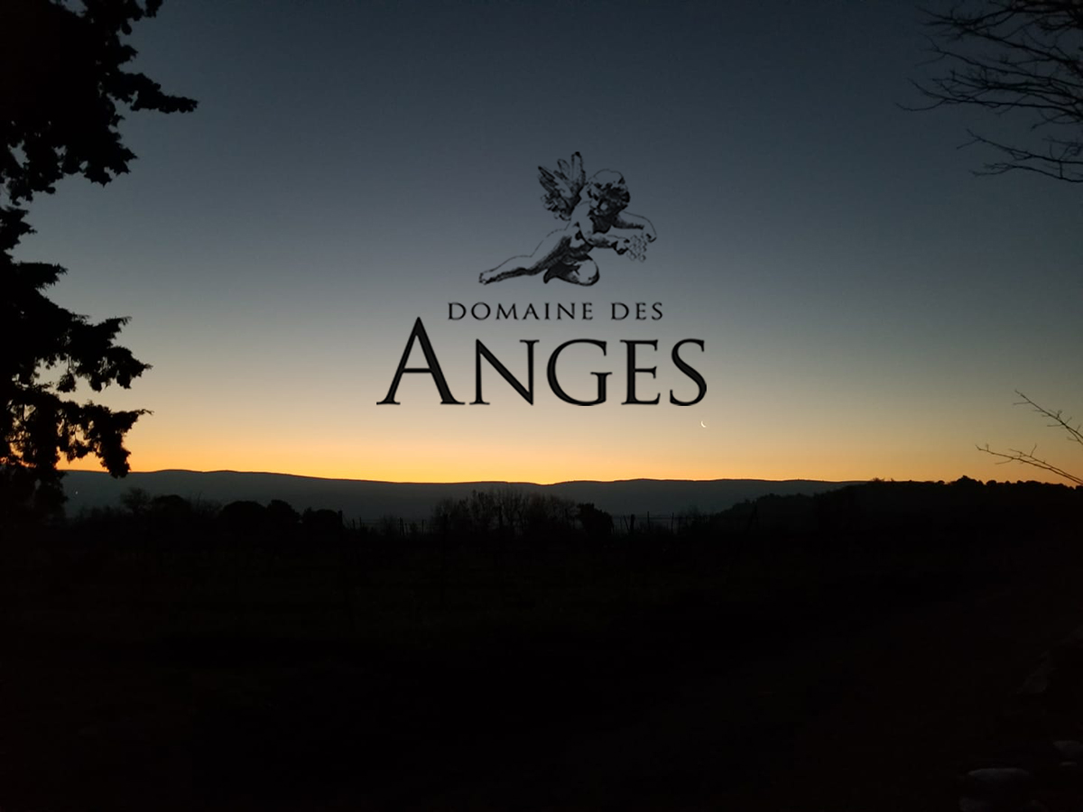 Sunrise at Domaine des Anges! ☀️
#domainedesanges #sunrise